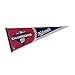 Rico 2019 Washington Nationals World Champions Pennant