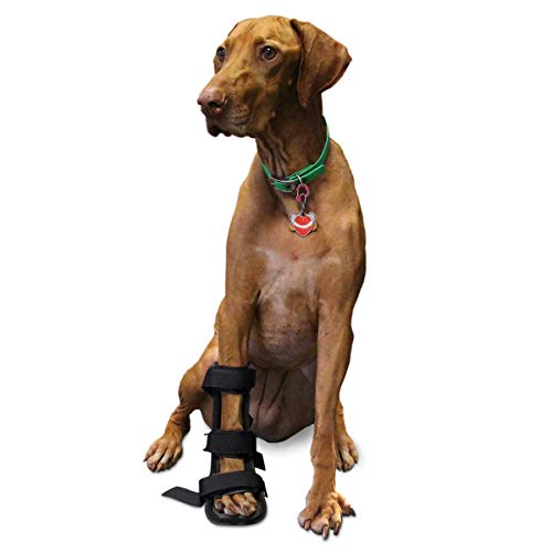 Walkin' Pet Splint for Dogs, Canine Front Leg Splint with Foam Inserts for a More Custom Fit