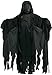 Harry Potter Dementor Costume