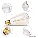 Kiven Vintage Edison Bulb Tungsten Wire - 110 Volts - Dimmable - 230 Lumens -2200K Warm Temperature Antique Light Bulb (60w)