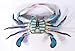 Charlotte International 6 inch Maryland Blue Crab Beach Tiki Bar Wall Decor