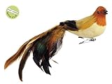Northlight Nature's Glow Feathered Natural Toned Song Bird Clip-On Christmas Ornament, 3