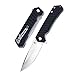 TANGRAM Folding Pocket Knife ACUTO440 Drop-Point Sharp Blade Liner Lock Black G10 Handle Flipper Knife,Dirk Pinkerton Progression TG3008A1