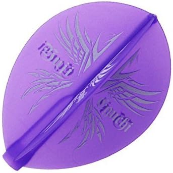 COSMO DARTS Fit Flight Yuji Eguchi