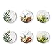 Mkono 6 Pack Glass Wall Hanging Planter Globe Air Plants Terrariums Wall Mounted Plant Vase Indoor for Home Office Living Room Decor, 4.72