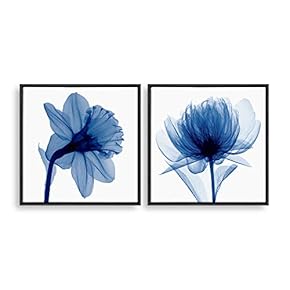2 Piece Framed Home Artwork Transparent Flower for...