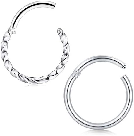 Briana Williams 2pcs 16G Nose Rings Hinged 8mm Seamless Clicker Tragus Helix Daith Lip Ring 1.2mm Surgical Steel Piercing