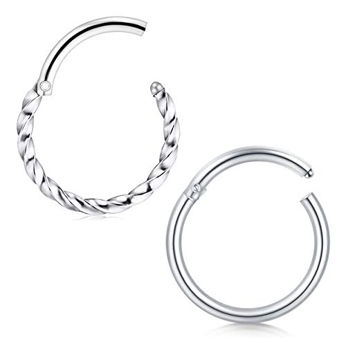 Briana Williams 2pcs 16G Nose Rings Hinged 8mm Seamless Clicker Tragus Helix Daith Lip Ring 1.2mm Surgical Steel Piercing