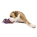 Outward Hound Planet Dog Orbee-Tuff Eggplant Treat-Dispensing Dog Chew Toy
