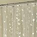 Ex-Cell Ivy Shower Curtain, Silver