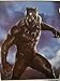 Jay Franco Black Panther Hunter Plush, Medium Throw Blanket