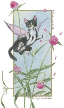 Amazon ねこの引出し 中島祥子 ポストカード センニチコウと白黒 ポストカード 絵柄付はがき 文房具 オフィス用品