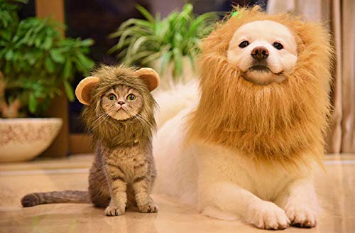 Legendog Cat Halloween Costume Lion Mane Wig Hat for Cats Pet Halloween Costumes for Small Dogs and Cats