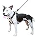 Sporn Big Dog Halter No Pull Harness, Large Size, Reflective No Pull Dog Harness for Large Dogs, Heavy Duty, Adjustable, Lightweight, Padded & Safe for Leash Training, Black