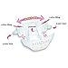 Japanese Soft Diapers - Nappies New Moony's Air Fit, Irritation Free, for Extra Sensitive Skin, Leak Free, 1 Pack of Sensitive Skin Care Baby Wipes by Moony's (Medium)