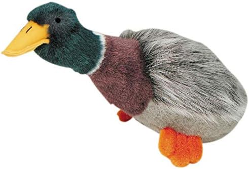 bird dog toy