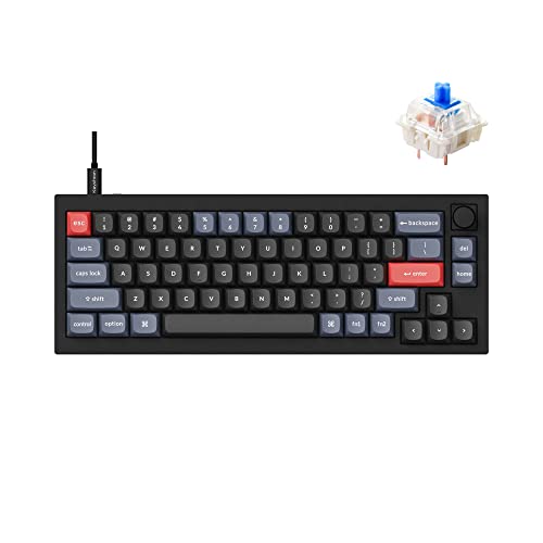 Keychron Q2 Wired Custom Mechanical Keyboard Knob Version, 65% Layout QMK/VIA Programmable Macro with Hot-swappable Gateron G Pro Blue Switch Double Gasket Compatible with Mac Windows Linux (Black)