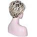 Deifor Short Messy Curly Synthetic Hair Natural As Real Hair Wigs for Daily Use (Brown Mix Blonde)