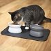 Kitty City Raised Cat Food Bowls and Mat Kit, Each holds 6.5 ounces- Pet Bowl for Dogs Cats and Pets