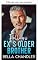 Livro Me apaixonando pelo irmão mais velho do meu ex (Obsessão dos irmãos bilionários)