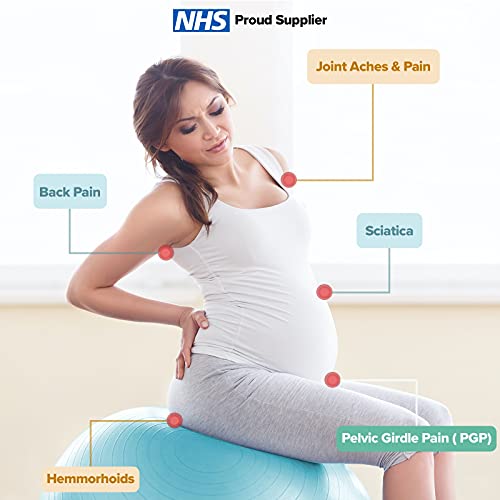 BABYGO Birthing Ball Pregnancy Yoga Labor & Exercise Ball & Book Set