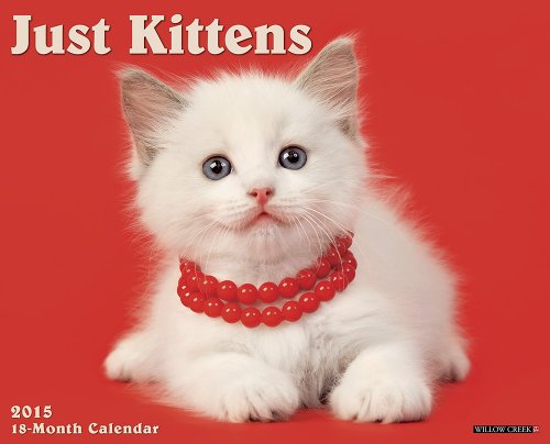 Just Kittens 2015 Wall Calendar