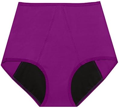 Dear Kate Nellie Brief Period Panty with Technology Fabric Full Lining