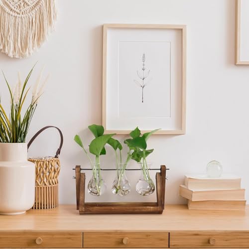 Sepper Estación de propagación de Plantas, Terrario con Soporte Madera Jarrón Hidropónica Florero Cristal, Jarrones Vidrio Macetas con 3 Bombillas para Interior Decoración Mesa Oficina Casa Jardín