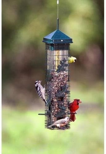 Brome Squirrel Solutions Seed Saver 200 Squirrel Proof Bird Feeder