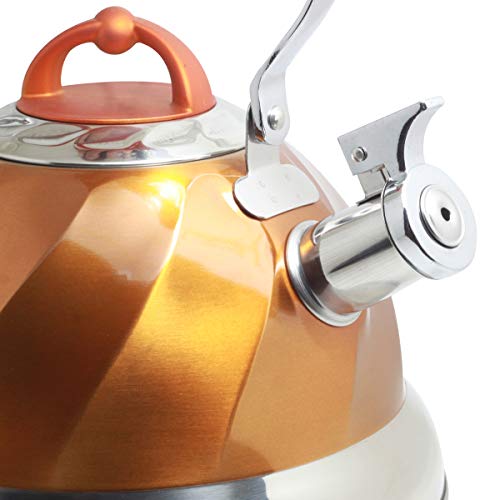 Riwendell Stainless Steel Whistling Tea Kettle Stove Top Kettle Teapot (Orange01)