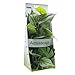Fluval Anubias Plant for Aquarium, 12-Inch
