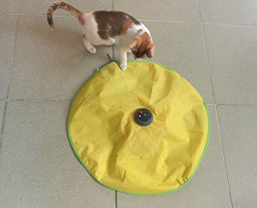 AOLIKES Cat Toy V4 Version Original Accessories|Spare Wands 3-Pcs|Rechargeable Lithium-ion Battery and 2-Pcs Wands Mouse Tail (Interactive Cat Toy V4 Version)