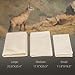 (3 Pack) Car Natural Chamois Cleaning Cloth,Absorber Towel for Car Chamois Drying Towe RIVERLAKE Genuine Deerskin Leather Auto Car Wash Drying Towel,Super Absorbent,3 Available Sizes. (L/M/S 3IN1)
