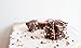 Healthworks Cacao Nibs Raw Organic (32 Ounces / 2 Pound) | Criollo Bean | Unsweetened Chocolate Substitute | Certified Organic | Keto, Vegan & Non-GMO | Antioxidant