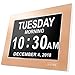 American Lifetime, Premium Version, Day Clock Extra Large Impaired Vision Digital Clock with Battery Backup and 5 Alarm Options Limited Edition, Gold Color Metal Frame