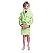 Izzy & Roo Green Dinosaur Hooded Bathrobe for Kids (3-6 Years)