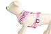 PUPTECK Soft Mesh Dog Harness and Leash Set Pet Puppy Cat Comfort Padded Vest No Pull Harnesses, Pink, M