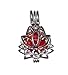 Old School Geekery 4 Pack of Lotus Blossom Bead Cage Brand Jewelry Making Supplies - Hollow Silver Plated Bead Cage Pendant