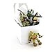TMNT Ninja Turtles Kurt Adler Ornament Set Gift Boxed