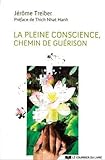 La Pleine Conscience : Chemin de guérison by 