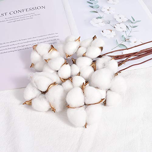 Hagao Cotton Balls with Branch Wreath Decor Cotton Bolls Made of Real Natural Cotton Great for Crafting Farmhouse Style 10 pcs - Thumbnail 3
