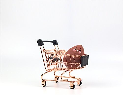 KINGSUNG Makeup Egg Holder Powder Puff Drying Holder Rack Single-deck Display Sponge Lipstick Nail Polish Stand Shelf Kids Parrots Birds Toy(Color Random)