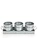 Hosley Set of 3 Galvanized Planter with Tray 5 Inch High. Ideal for Party Wedding Country Picnic Caddy Serve Ware Floral Pots Votive Candle Gardens O4
