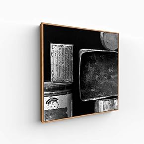 Canvas Wall Art for Living Room, Bedroom Silence Framed Canvas Prints for Home Decoration Ready to Hang - 16x16 inches