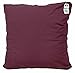 Waterglider International Zabuton Cushion: Kapok-Filled, 100% Organic Cotton Cover Meditation Cushion (Plum, Medium 24 X 24)