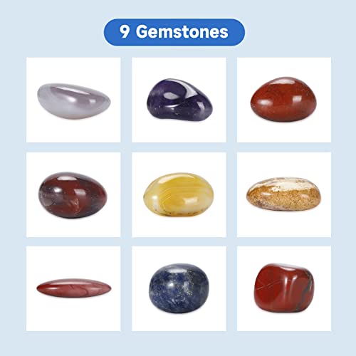 Leegol Electric Rock Tumbler Double Drum 6LB Lapidary Polisher Pricepulse