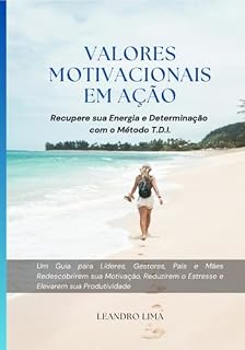 Livro Valores Motivacionais Em Ação