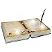One Holiday Way Animated Spell Book with Feather Halloween Decoration Party Prop Haunted Accessory