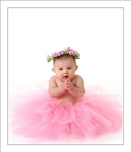 All the Makings Stulle Rolls, 20 Rolls