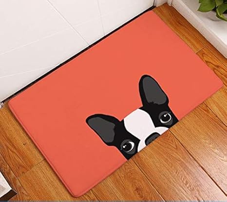 Amazon 猫 キャラクターデザイン 玄関マット ラグ カーペット ラグマット バスマット キッチンマット なめらか肌触り 猫柄 可愛い 滑り止め付 吸水 マイクロファイバー 洗える ホットカーペット対応 床暖房対応 インテリアマット シャギーマット フロアマット 屋内 室内